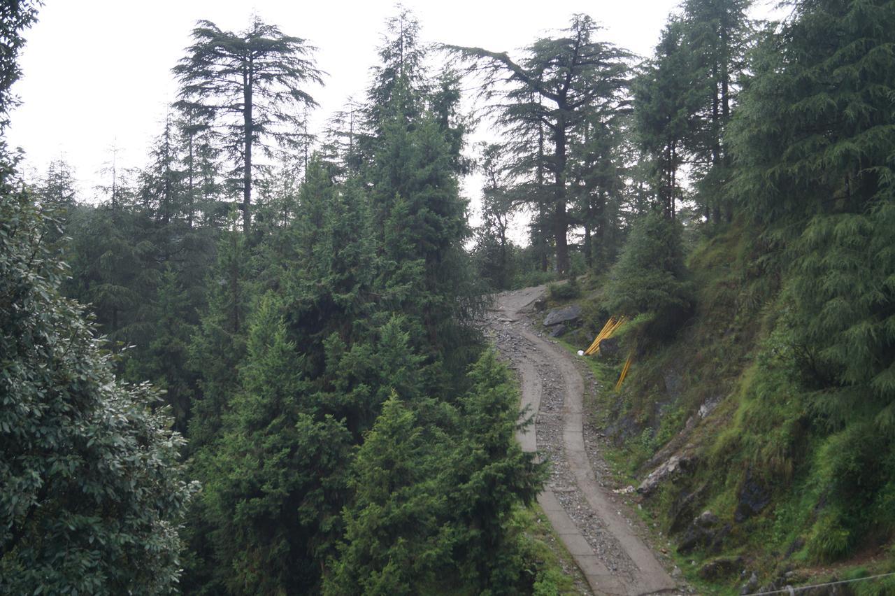 Hotel Shivalay Dharamshala Exteriör bild